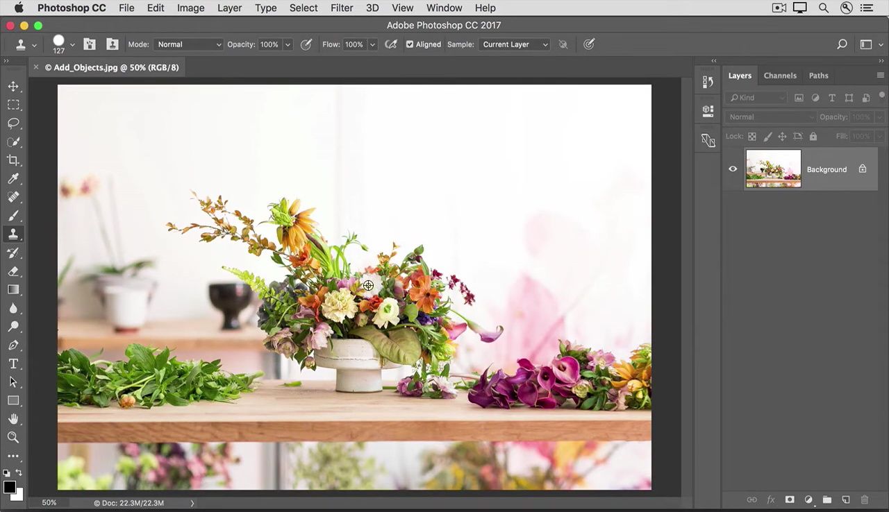 Mastering the Clone Stamp Tool in Photoshop: A Step-by-Step Guide to Seamless Image Enhancement
