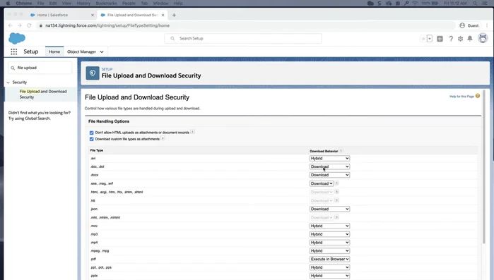 Select your preferred download behavior for each file type (e.g., execute in browser for PDFs, DOCs, DOCXs).