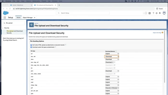 Select your preferred download behavior for each file type (e.g., execute in browser for PDFs, DOCs, DOCXs).