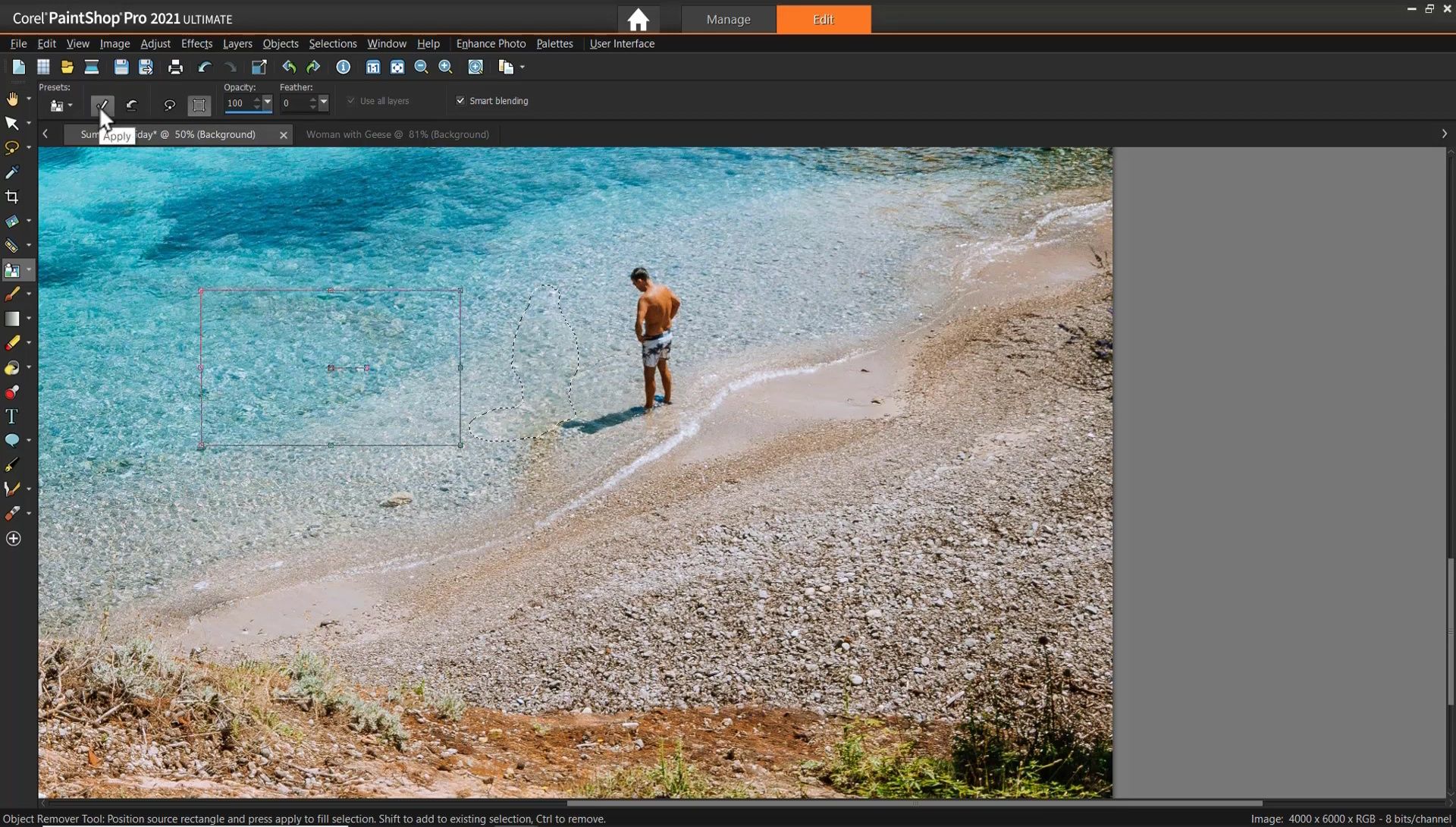 Seamlessly Remove Unwanted Objects from Photos with PaintShop Pro's Object Remover Tool