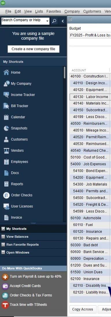 Create Budgets in [Software Name]: A Step-by-Step Guide