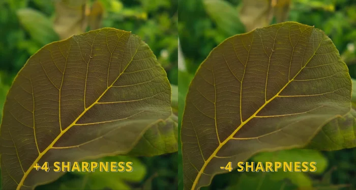 Set sharpness to the lowest setting to avoid digital sharpening artifacts.